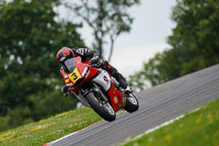 brands-hatch-photographs;brands-no-limits-trackday;cadwell-trackday-photographs;enduro-digital-images;event-digital-images;eventdigitalimages;no-limits-trackdays;peter-wileman-photography;racing-digital-images;trackday-digital-images;trackday-photos
